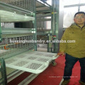 fully automatic broiler chickens cage /breeding chicken cage